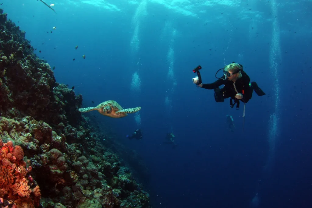 Underwater Photography Techniques