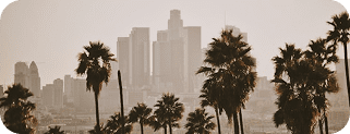 View of Los Angeles Lanscape