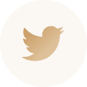 Social Icons (4)
