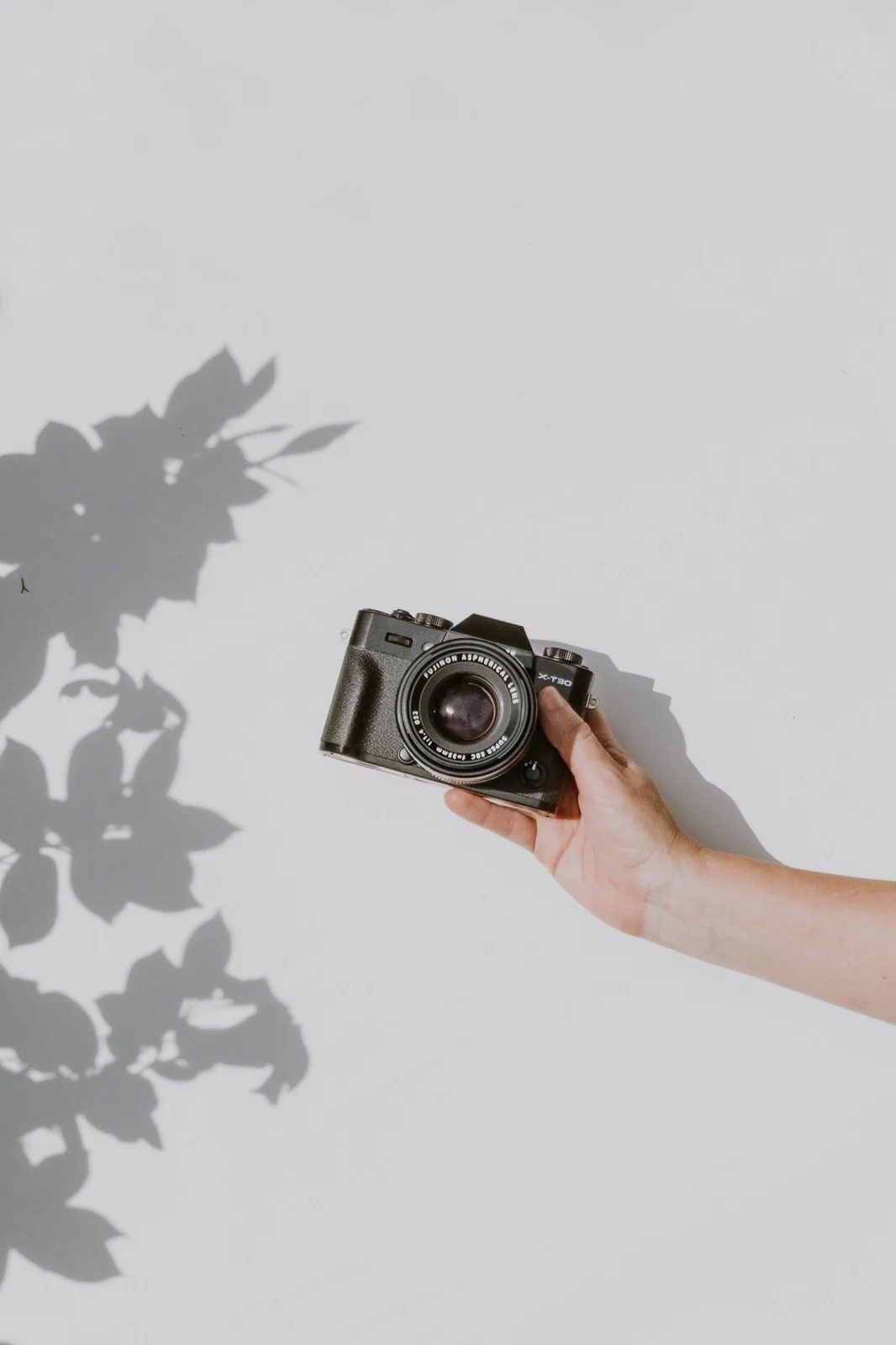 Person Holding Camera